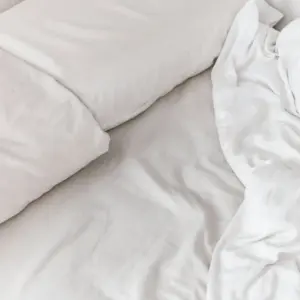 Nap Time Cotton Bed Sheet Set